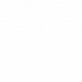 ICRO MAREMMANI